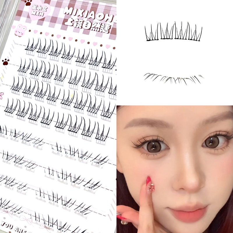 Mixiaohe Transparente Gemischt – Individual Lash Tray Bewertung und Preis