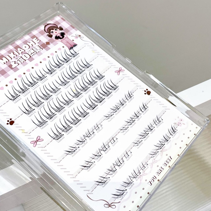 Mixiaohe Transparente Gemischt – Individual Lash Tray Bewertung und Preis