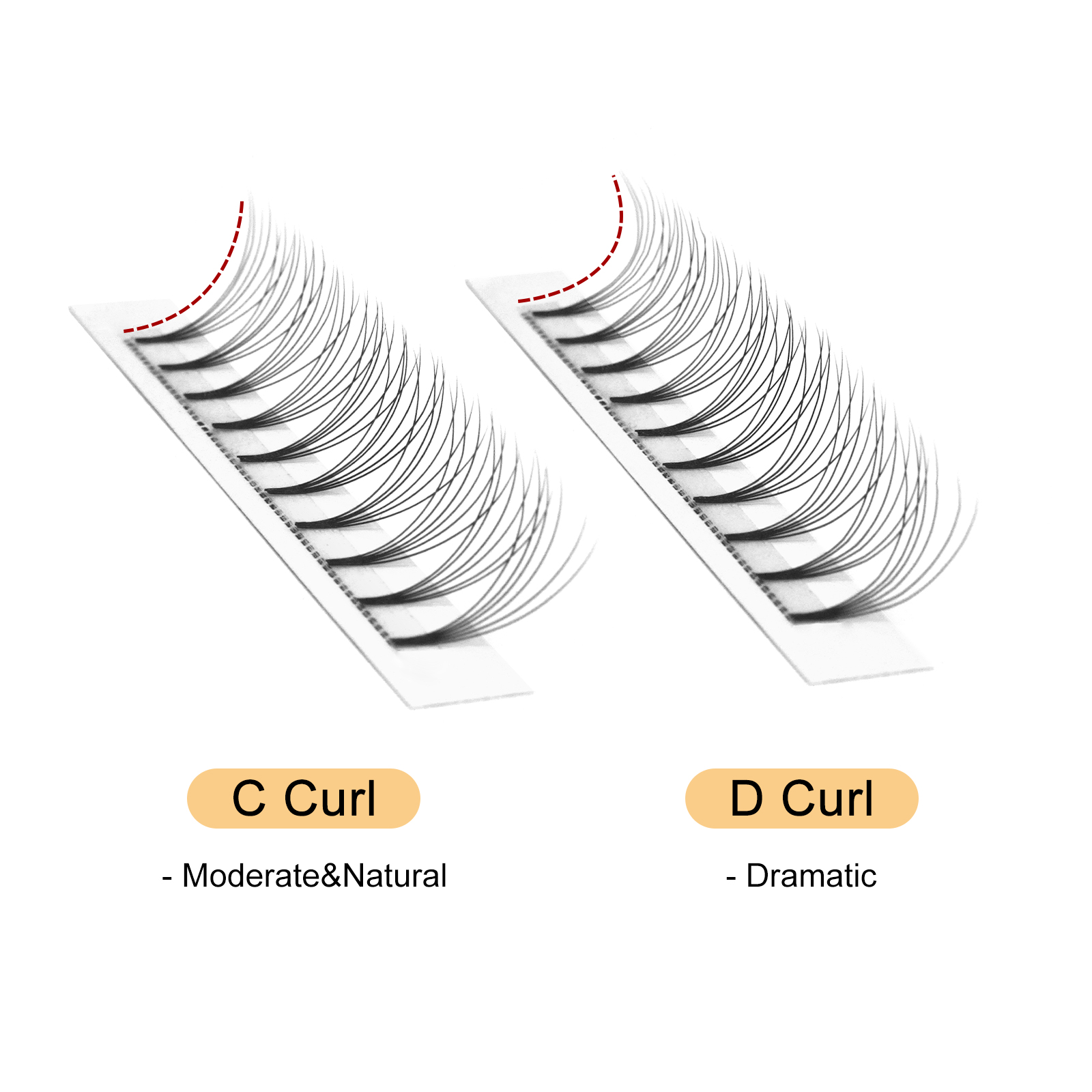 Quewel vorgefertigte Lüfter Wi – Eyelash Extension C Curl Bewertung und Preis