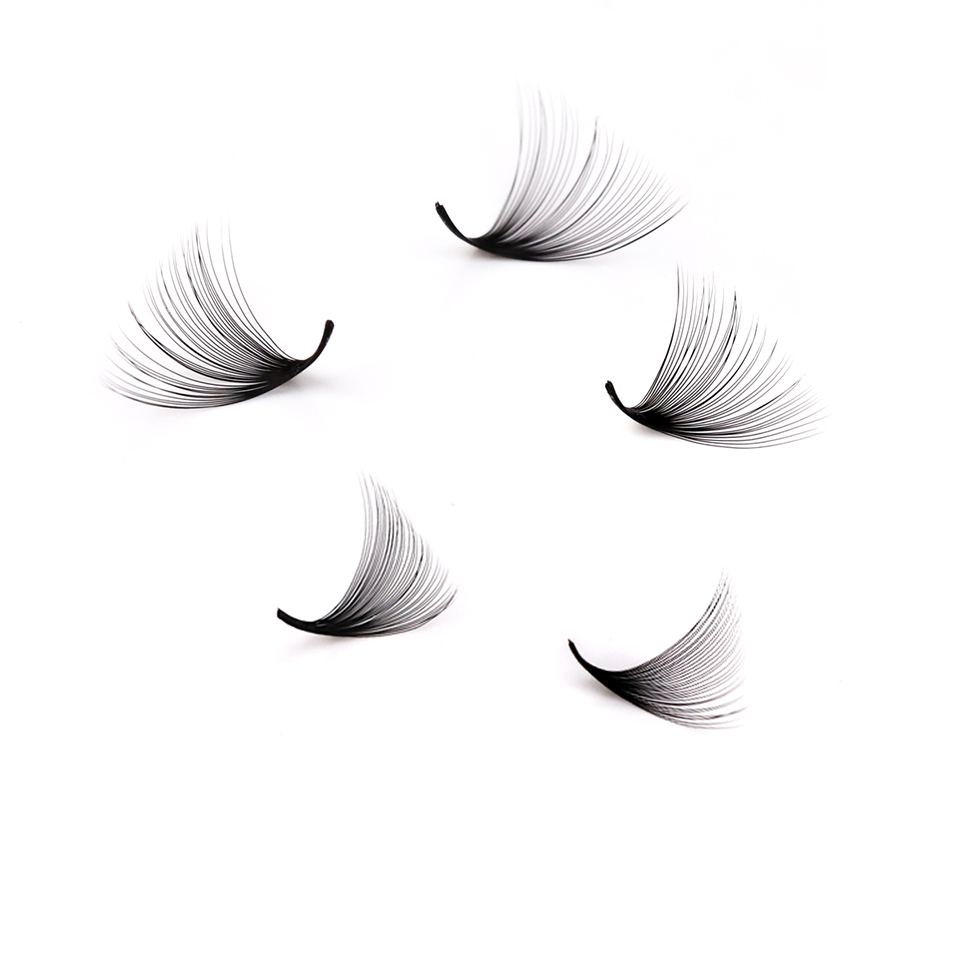 Lashprofessor XL Tray 3D 4D 5D – Eyelash Extension Russian Bewertung und Preis