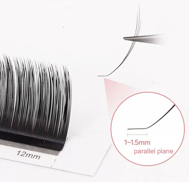 Dream Ballet Camellia Lashes m – Eyelash Extension C Curl Bewertung und Preis