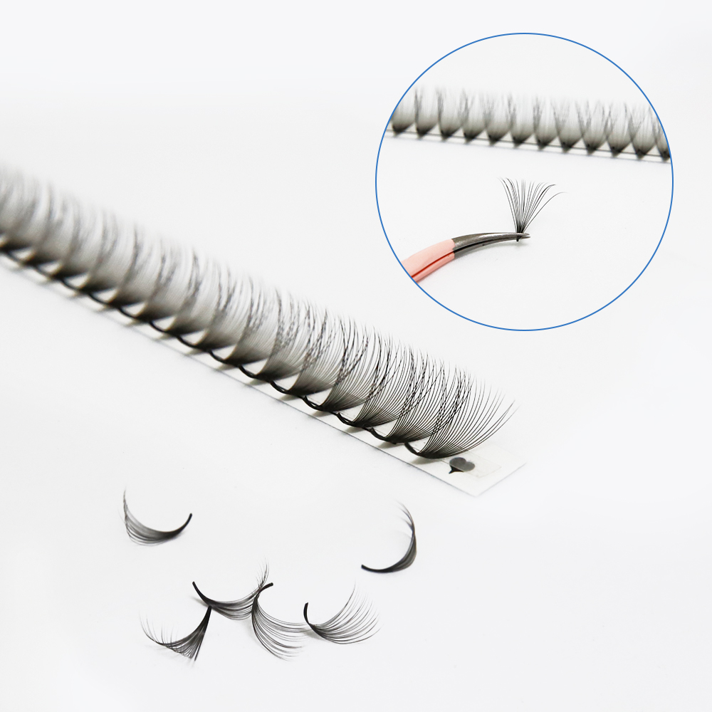 JB Jeyelabeau 6D 10D 20D 30D V – Eyelash Extension Russian Bewertung und Preis