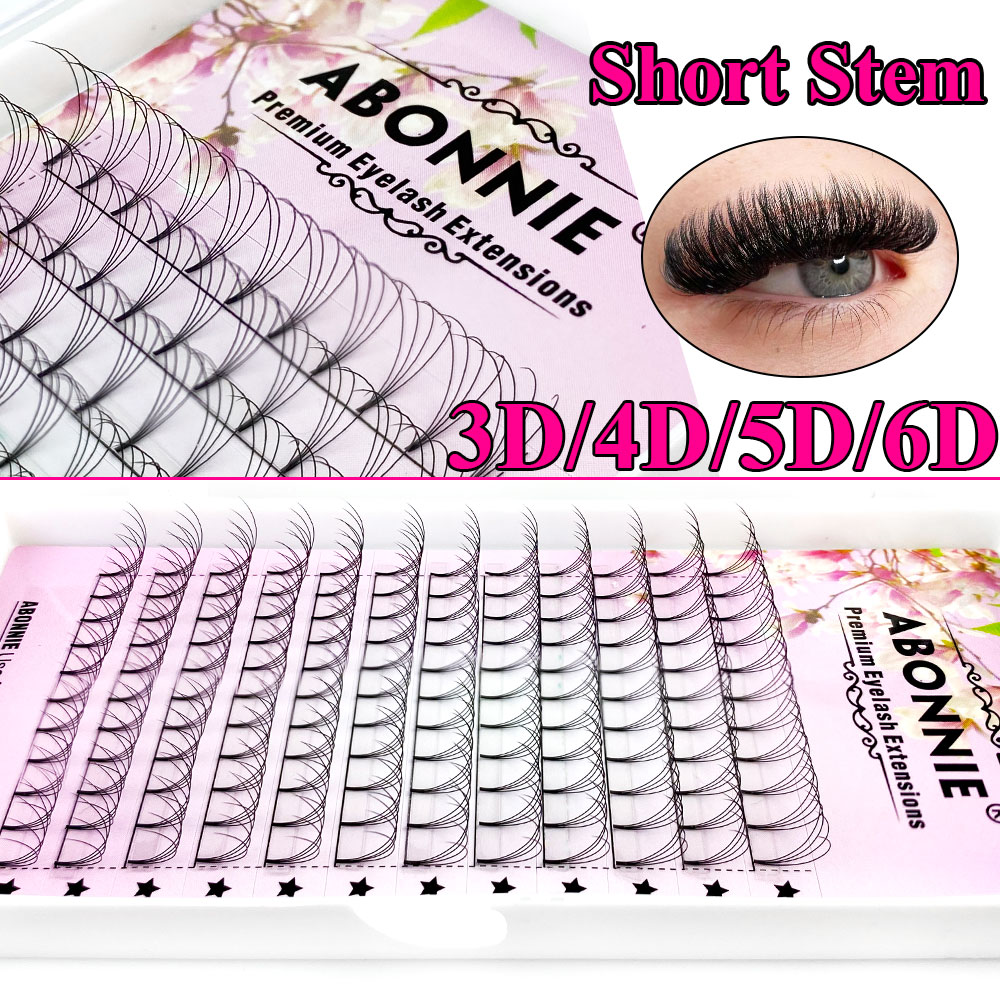 Abonnie 6D Narrow Fan Vorgefer – Eyelash Extension Russian Bewertung und Preis