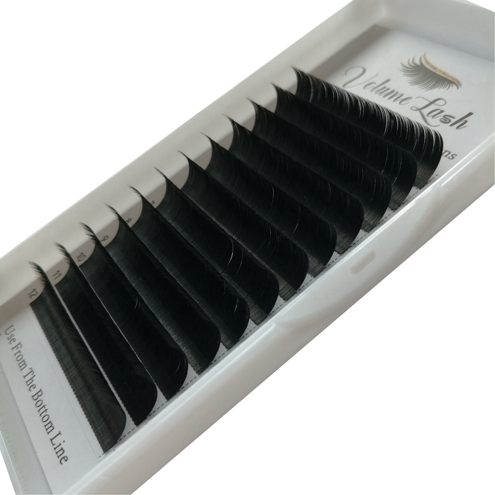 Ellipse Flache Einzelnen Wimpe – Eyelash Extension C Curl Bewertung und Preis